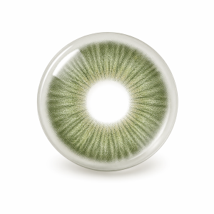 Lentilles vert
