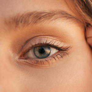Lentilles